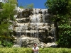 The falls