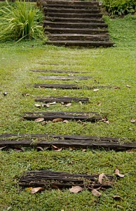 Steps