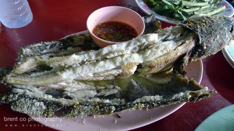 Salt baked BBQ fish